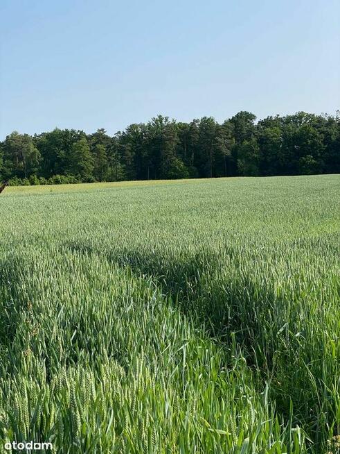 Działka budowlana w pięknej okolicy