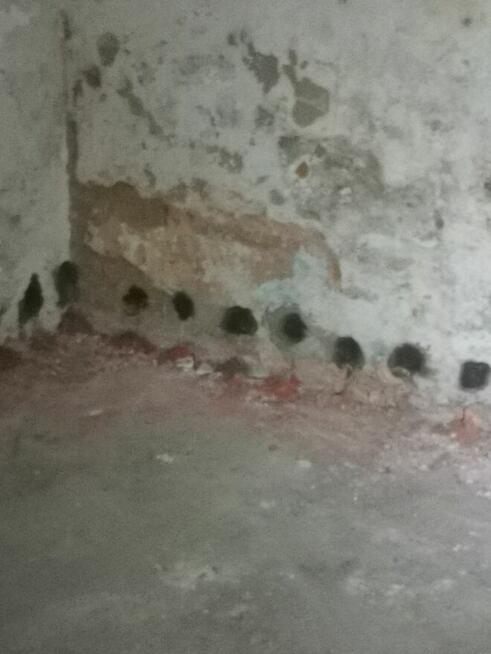 Podnoszenie posadzek stabilizacja gruntu iniekcja Wrocław ok