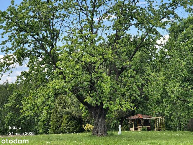 Unikatowa, piękna działka 18 km od Krakowa