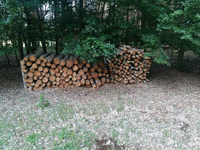 Sprzedam drzewo samowyrób sosnowe