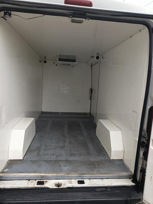 Fiat Ducato chlodnia