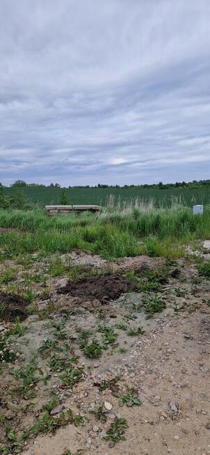 Działka budowlana nr.667 Dygowo