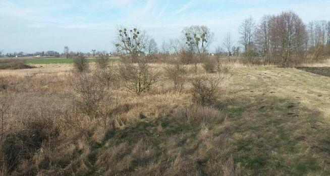 Działka 58a ,, Zastawe, koło Urszulina ,jezioro ,rzeka