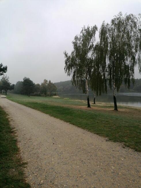 dzierżawa wynajem działka nad jeziorem Pławniowice