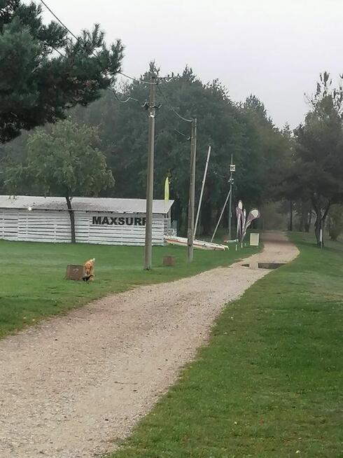 dzierżawa wynajem działka nad jeziorem Pławniowice