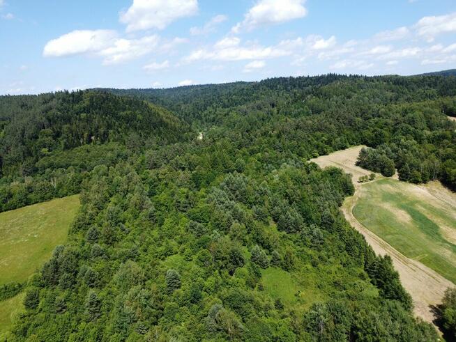 Działka z możliwością zabudowy położona w dolinie rzeki San