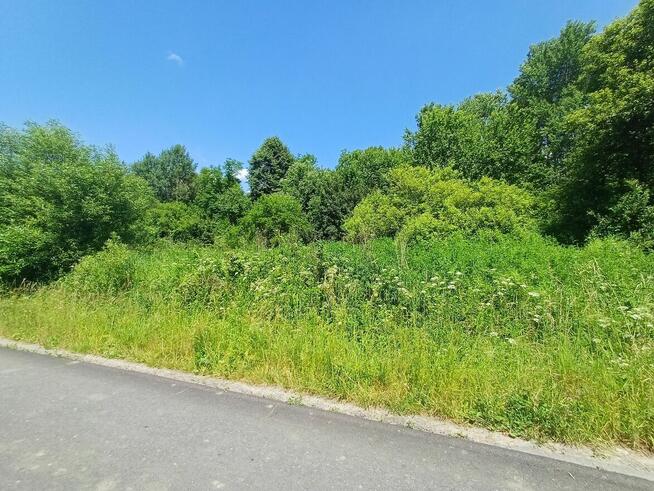 Działka z możliwością zabudowy położona w dolinie rzeki San