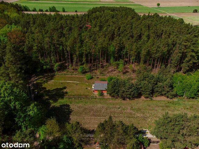 Oaza spokoju - działka 1700m2 mazowieckie