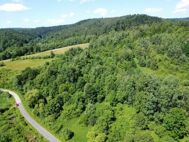 Działka z możliwością zabudowy położona w dolinie rzeki San