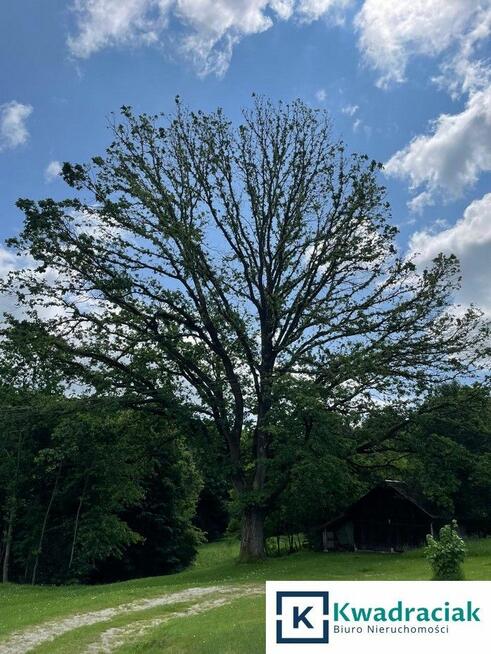 Dom Widacz gm. Frysztak,