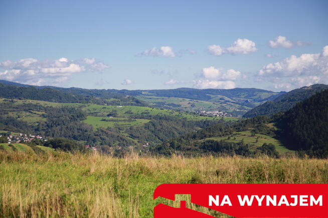 Działka w Grywałdzie; 1,1003 ha; warunki zabudowy