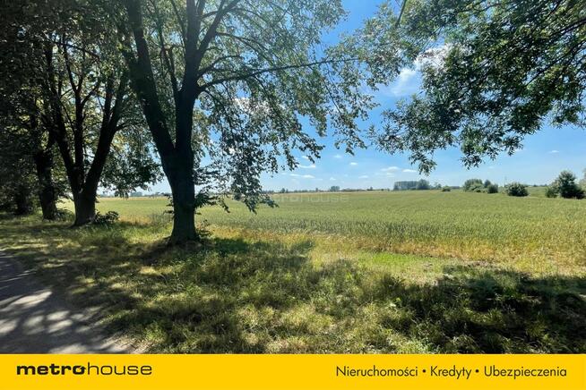 Malownicze siedlisko blisko Łowicza