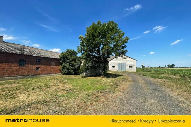 Malownicze siedlisko blisko Łowicza