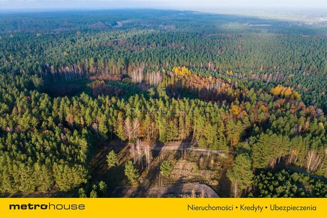 Działka w Borach Tucholskich, las, jezioro WZ