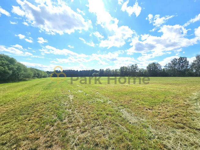 Działka rolna Esterpole gm. Brodnica,