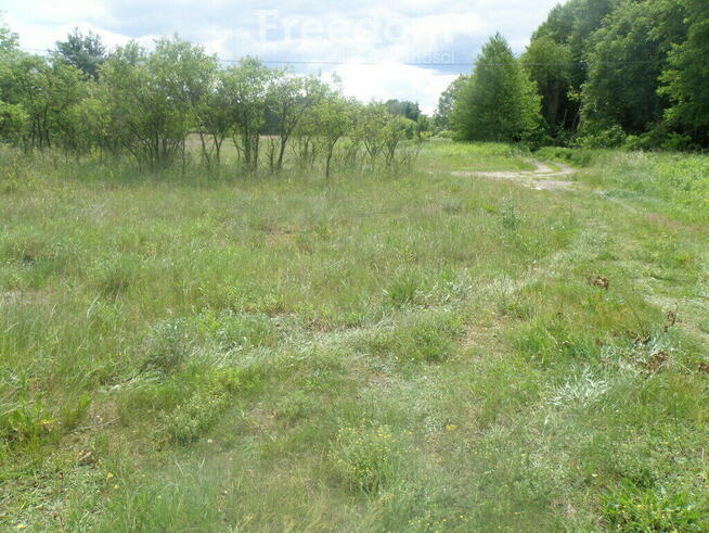 Działka 121/27 w Czarnym Błocie z WZ