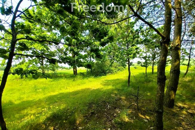 Urokliwe siedlisko - cena do negocjacji