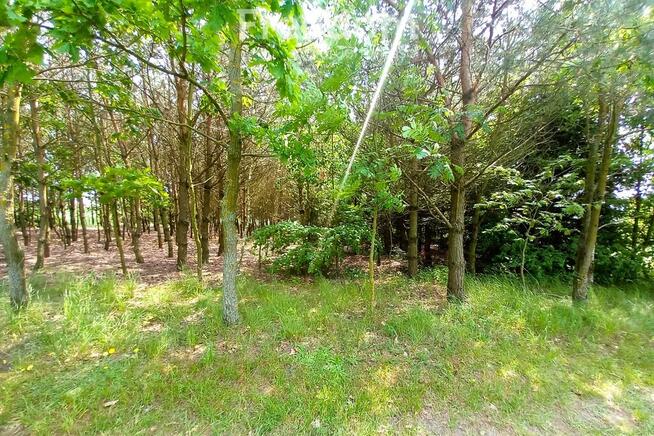 Urokliwe siedlisko - cena do negocjacji