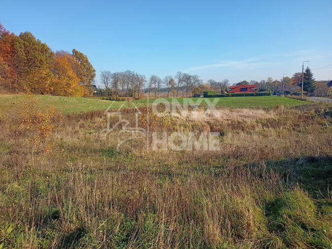 Działka budowlana Załęże gm. Przodkowo, Zielona Droga