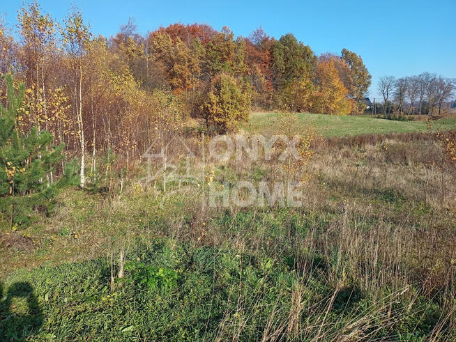 Działka budowlana Załęże gm. Przodkowo, Zielona Droga
