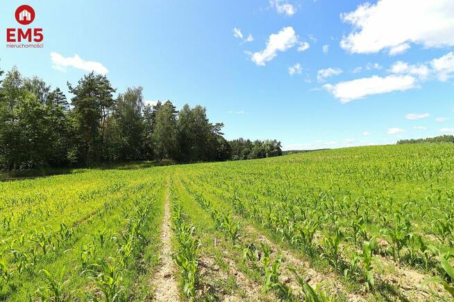 Działka budowlana Rożyńsk Wielki gm. Prostki