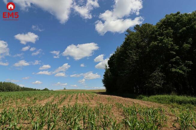 Działka budowlana Rożyńsk Wielki gm. Prostki