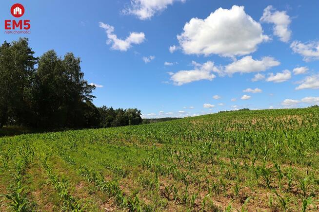 Działka budowlana Rożyńsk Wielki gm. Prostki