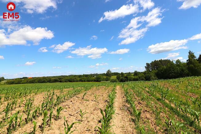 Działka budowlana Rożyńsk Wielki gm. Prostki