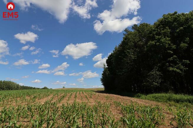 Działka budowlana Rożyńsk Wielki gm. Prostki