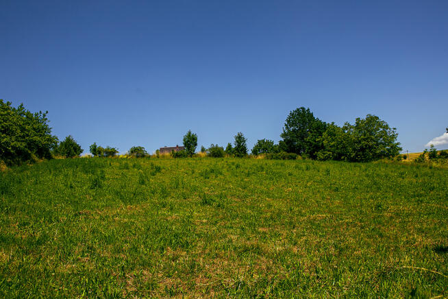 Działka budowlana w Rzepienniku Biskupim!