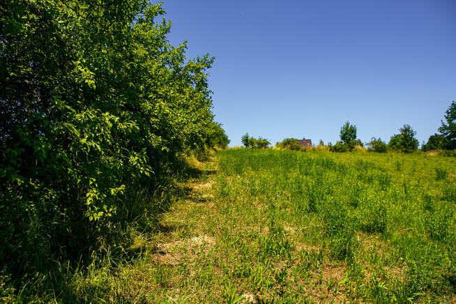 Działka budowlana w Rzepienniku Biskupim!