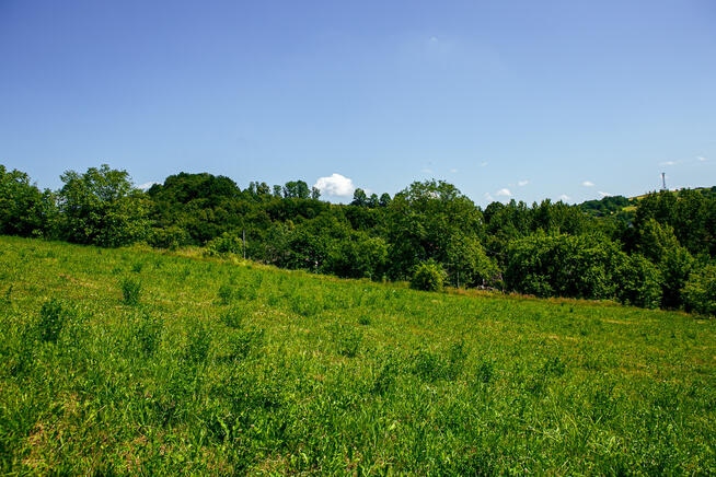 Działka budowlana w Rzepienniku Biskupim!