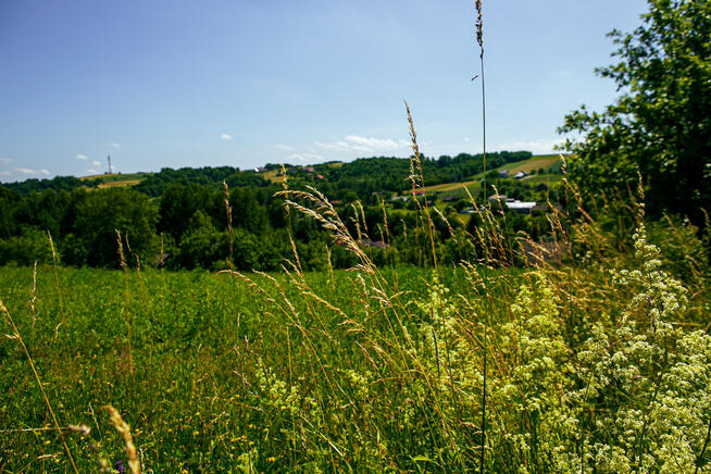 Działka budowlana w Rzepienniku Biskupim!