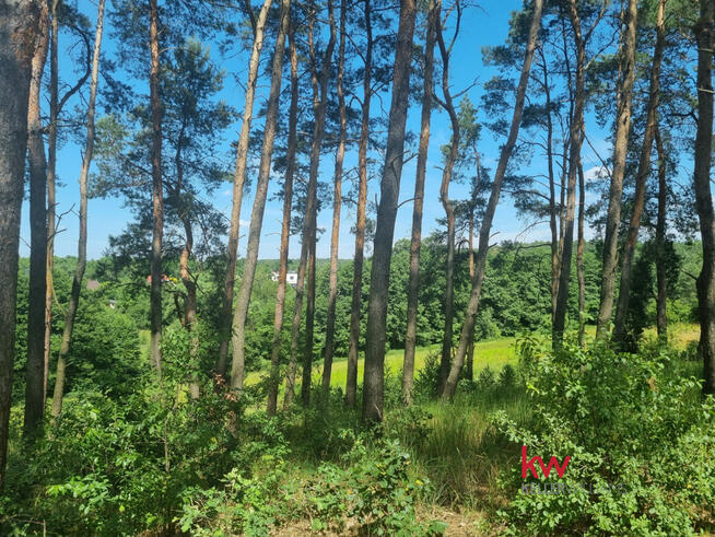 Działka inwestycyjna Czerwonak, Zacisze