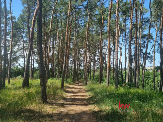 Działka inwestycyjna Czerwonak, Zacisze