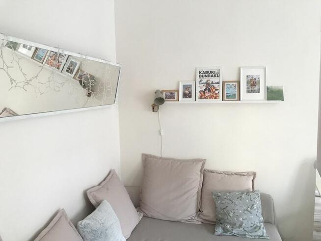 Mieszkanie Park Wilsona wynajem