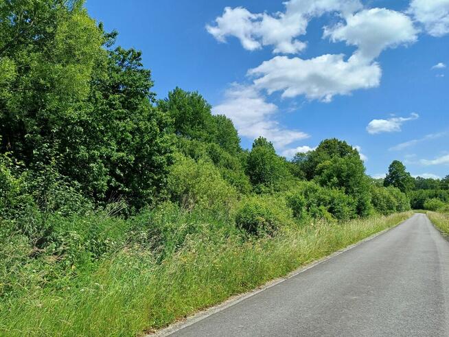 Działka z możliwością zabudowy położona w dolinie rzeki San
