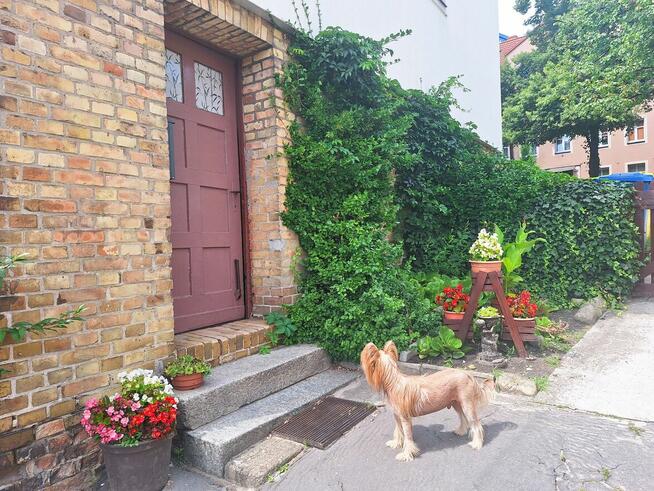 Mieszkanie z ogródkiem i garażem, os. Staszica