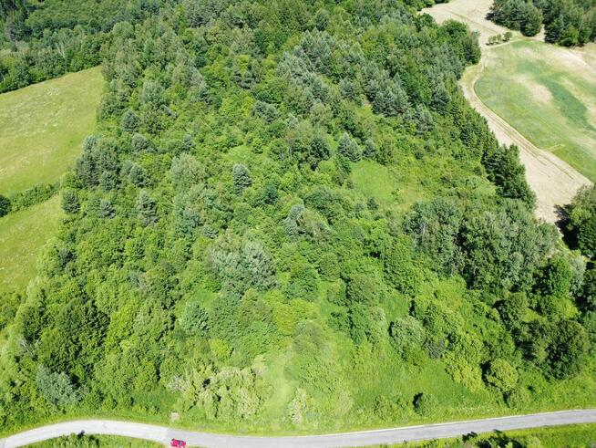 Działka z możliwością zabudowy położona w dolinie rzeki San