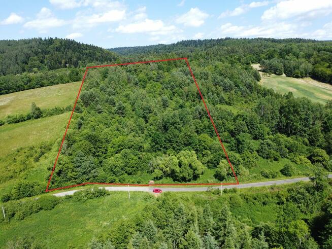 Działka z możliwością zabudowy położona w dolinie rzeki San