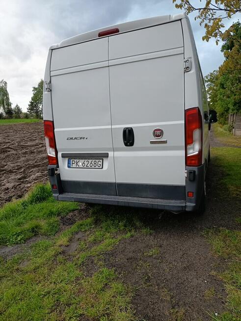 Fiat Ducato chlodnia