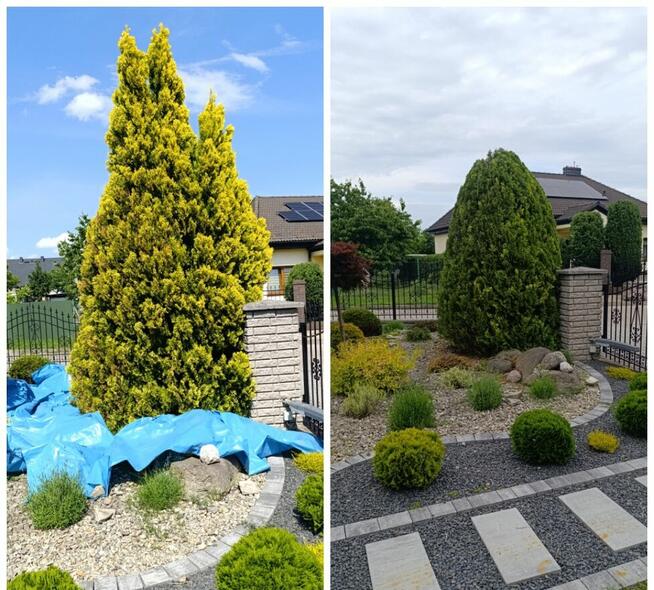 Usługi pielęgnacji ogrodów