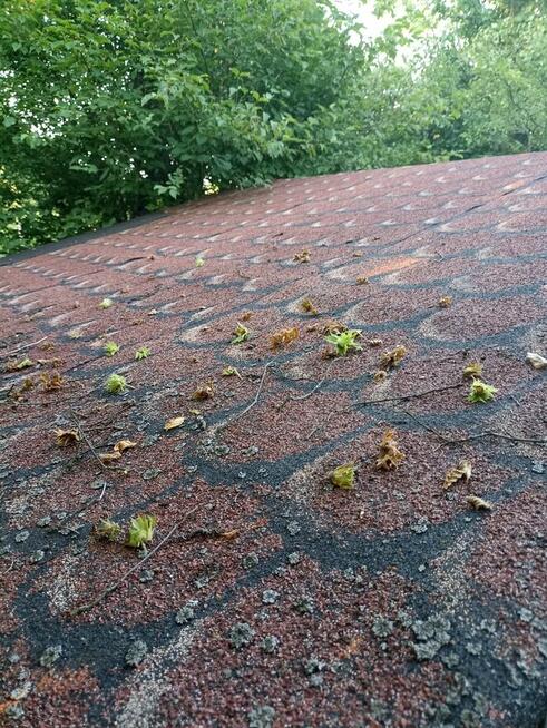 Działka ROD wrocław Brochów