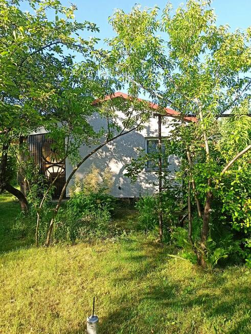 Słoneczna działka 800m² / ROD Elektron Szczaki