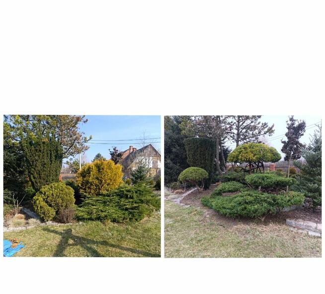 Usługi pielęgnacji ogrodów