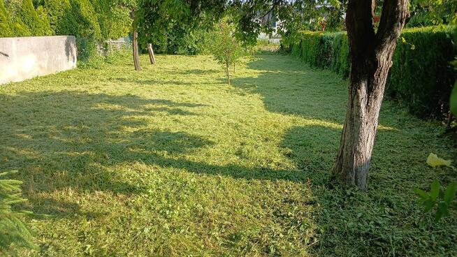 Koszenie, czyszczenie działek