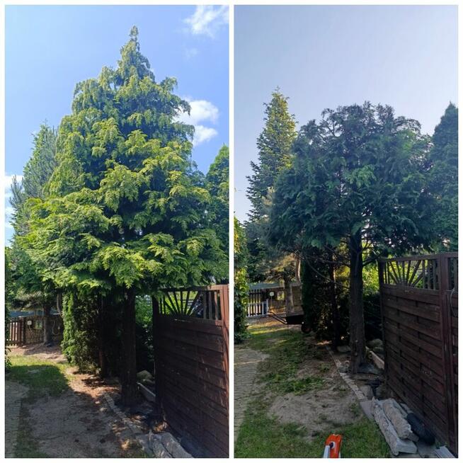 Usługi pielęgnacji ogrodów