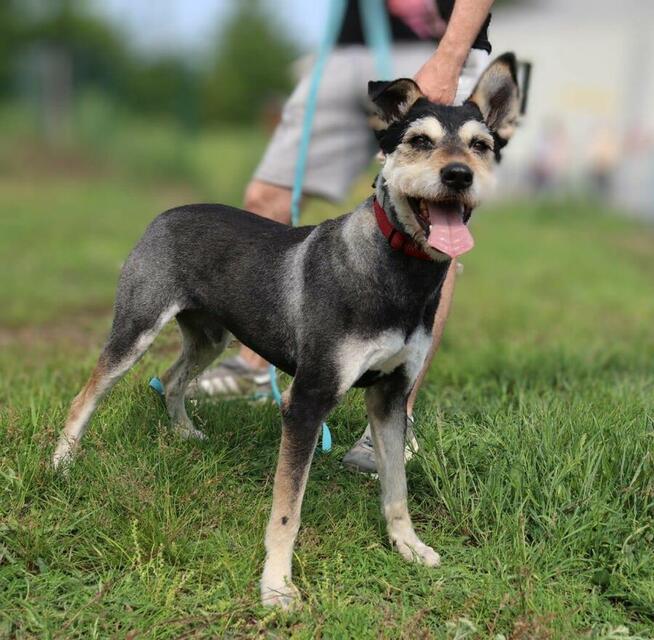 Zjawiskowy Gutek po metamorfozie!