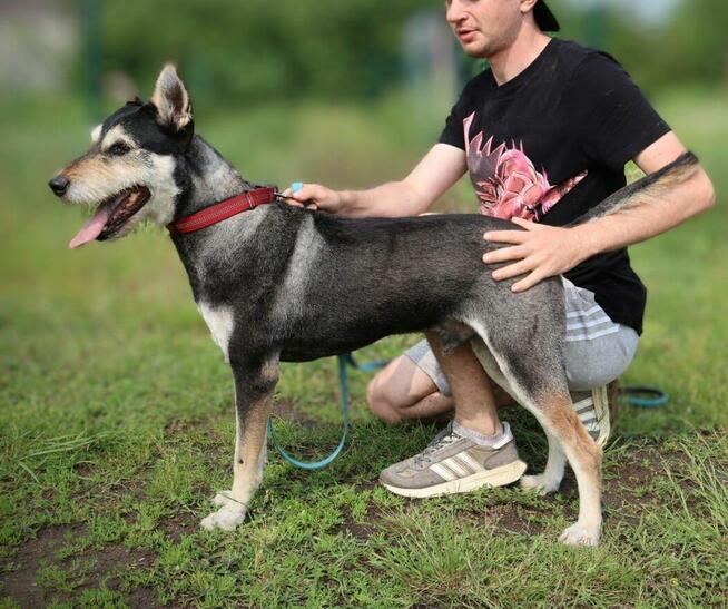 Zjawiskowy Gutek po metamorfozie!