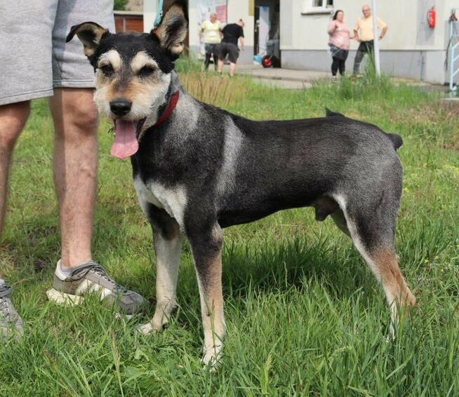 Zjawiskowy Gutek po metamorfozie!